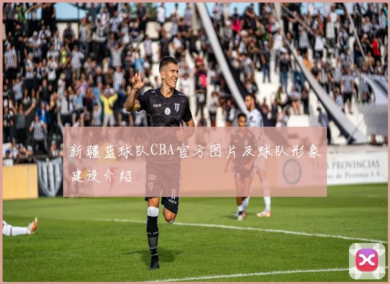新疆蓝球队CBA官方图片及球队形象建设介绍