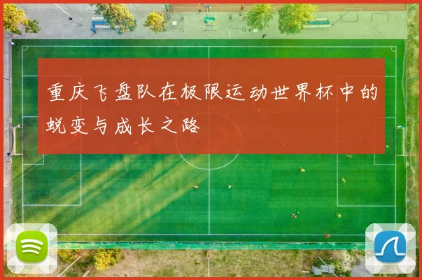 重庆飞盘队在极限运动世界杯中的蜕变与成长之路